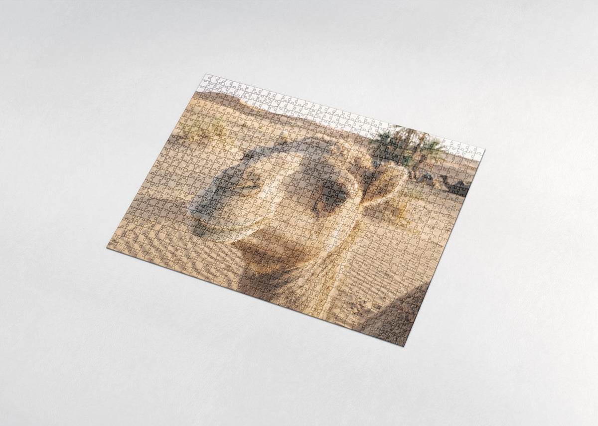 Camel Portrait with Long Lashes jigsaw puzzle - assembled puzzle