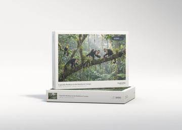 Capuchin Monkeys in the Rainforest Canopy jigsaw puzzle - gift box