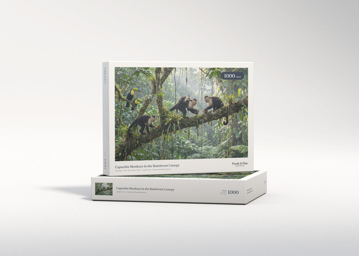 Capuchin Monkeys in the Rainforest Canopy jigsaw puzzle - gift box