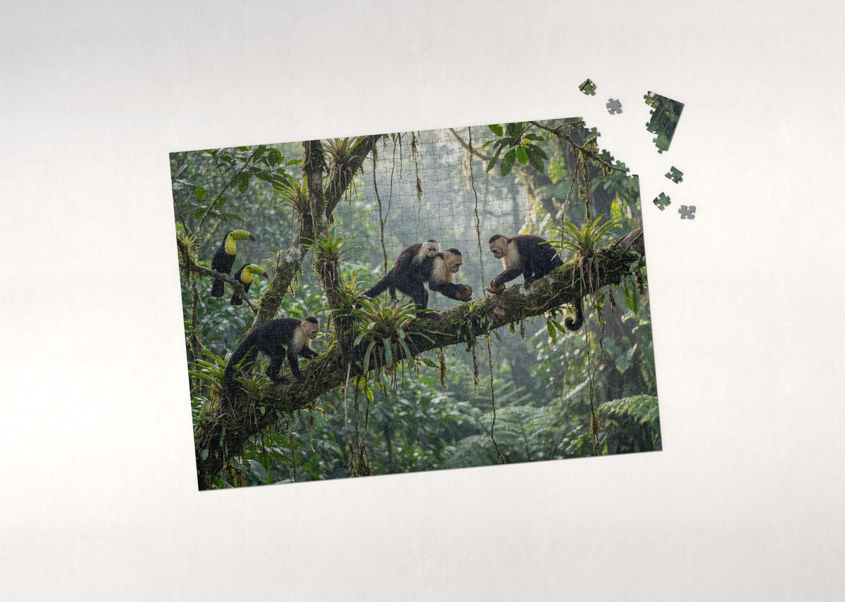 Capuchin Monkeys in the Rainforest Canopy jigsaw puzzle - puzzle with loose pieces