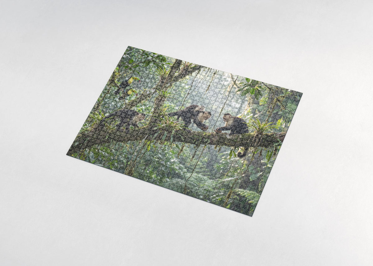 Capuchin Monkeys in the Rainforest Canopy jigsaw puzzle - assembled puzzle