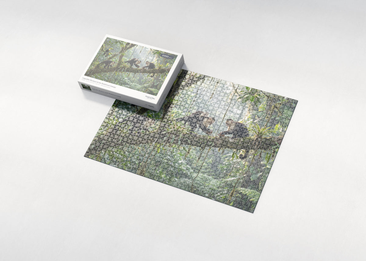 Capuchin Monkeys in the Rainforest Canopy jigsaw puzzle - box and puzzle