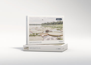 Capybara Among the Water Lilies jigsaw puzzle - gift box