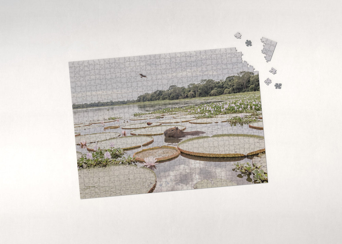 Capybara Among the Water Lilies jigsaw puzzle - puzzle with loose pieces