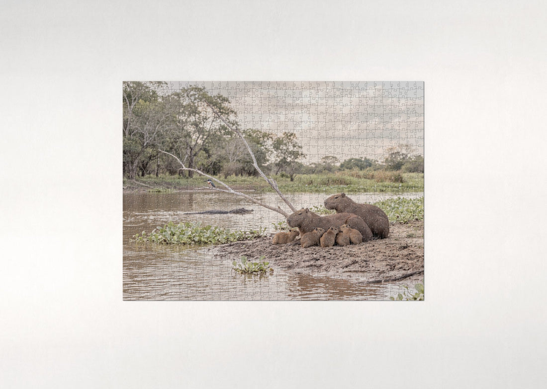 Capybara Family at the Riverbank jigsaw puzzle - gift box