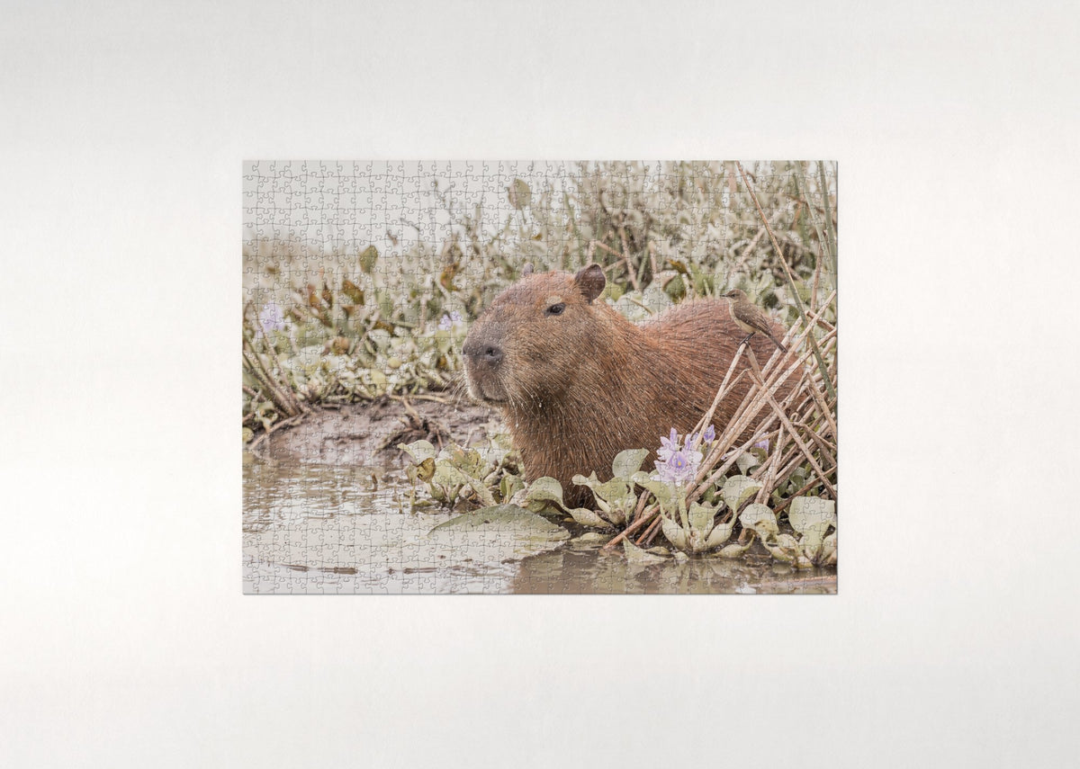 Capybara Portrait jigsaw puzzle - flat puzzle