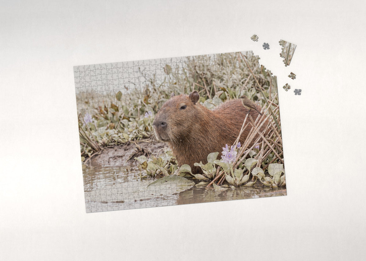 Capybara Portrait jigsaw puzzle - puzzle with loose pieces