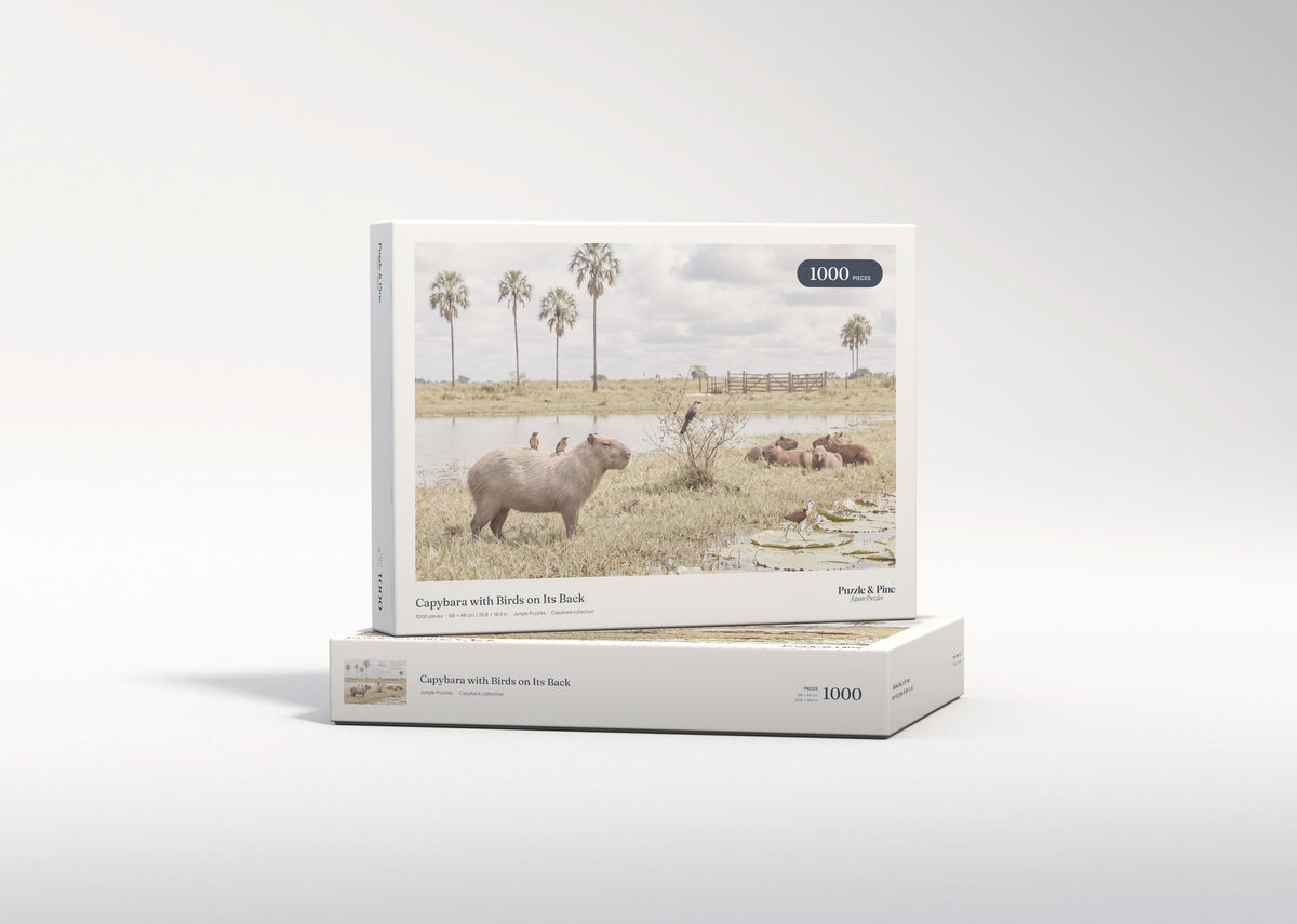 Capybara with Birds on Its Back jigsaw puzzle - gift box