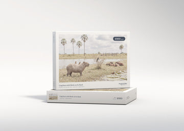 Capybara with Birds on Its Back jigsaw puzzle - gift box