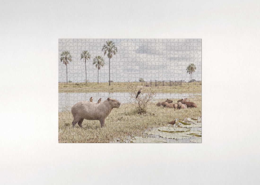 Capybara with Birds on Its Back jigsaw puzzle - gift box