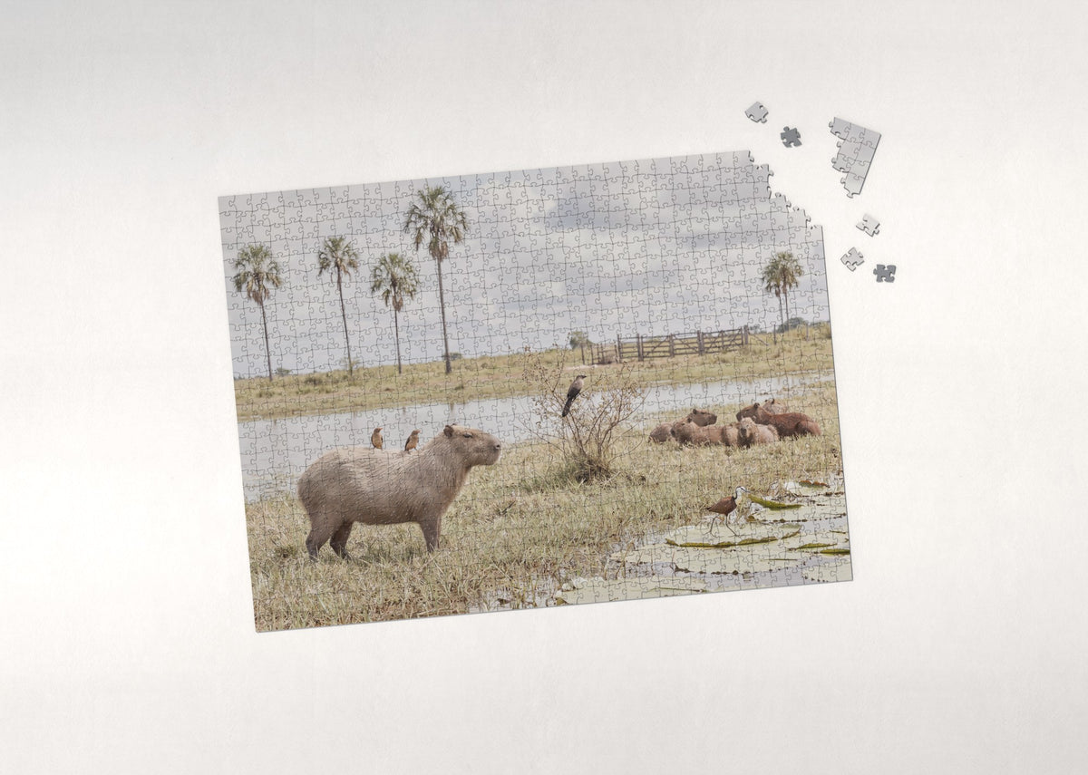 Capybara with Birds on Its Back jigsaw puzzle - puzzle with loose pieces