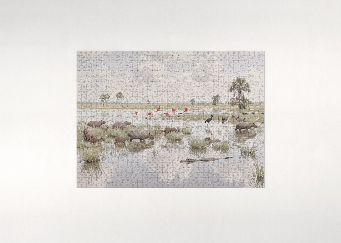Capybaras in the Wetland jigsaw puzzle - gift box