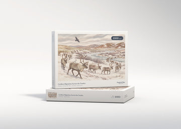 Caribou Migration Across the Tundra jigsaw puzzle - gift box
