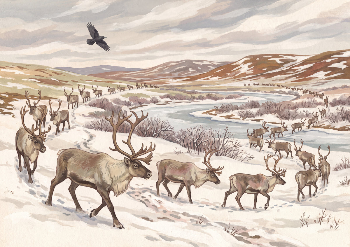 Caribou Migration Across the Tundra jigsaw puzzle