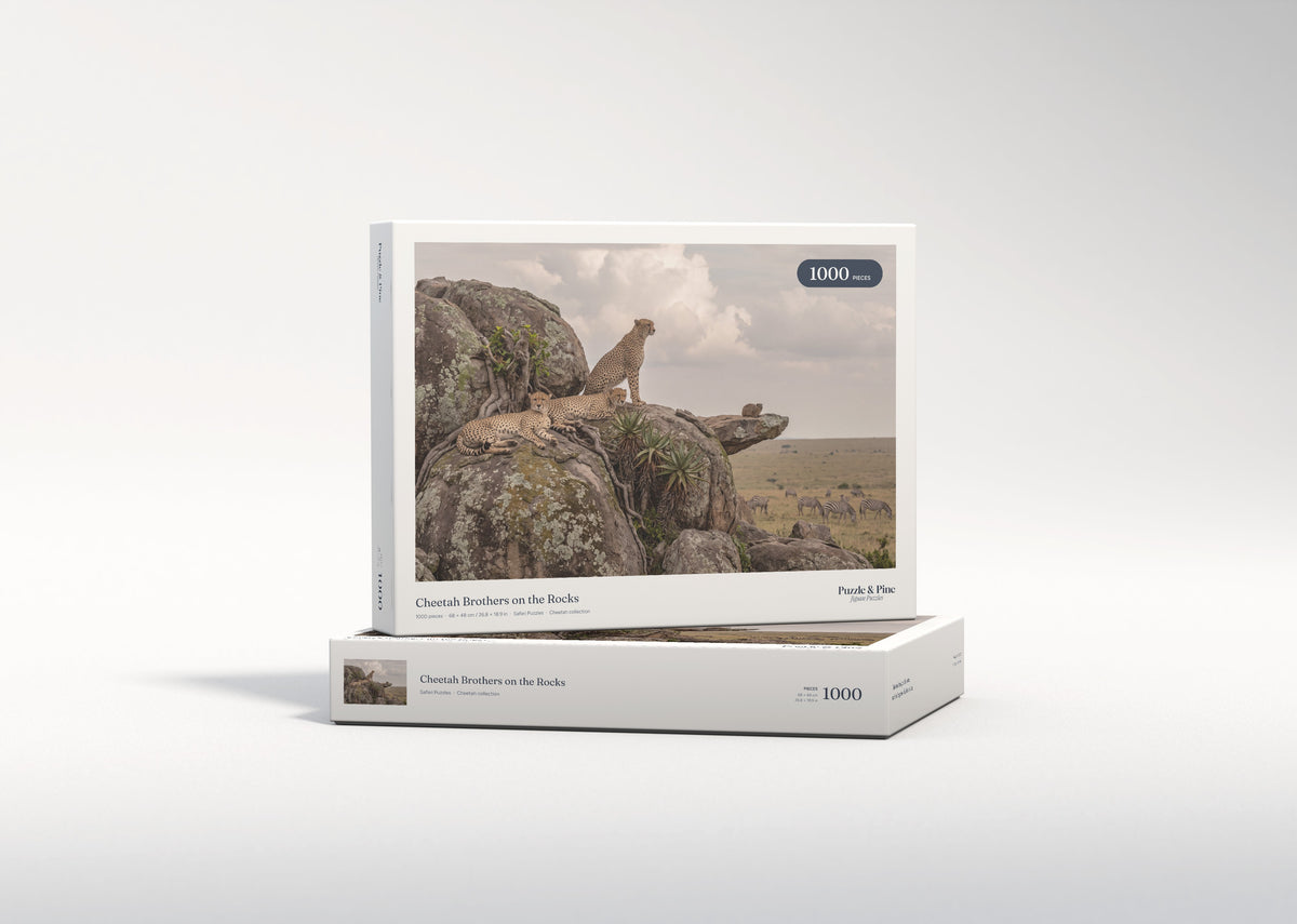 Cheetah Brothers on the Rocks jigsaw puzzle - gift box