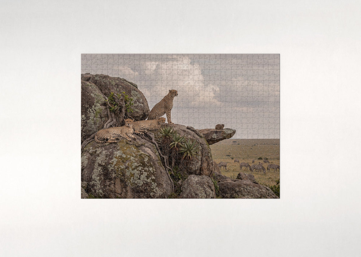 Cheetah Brothers on the Rocks jigsaw puzzle - flat puzzle