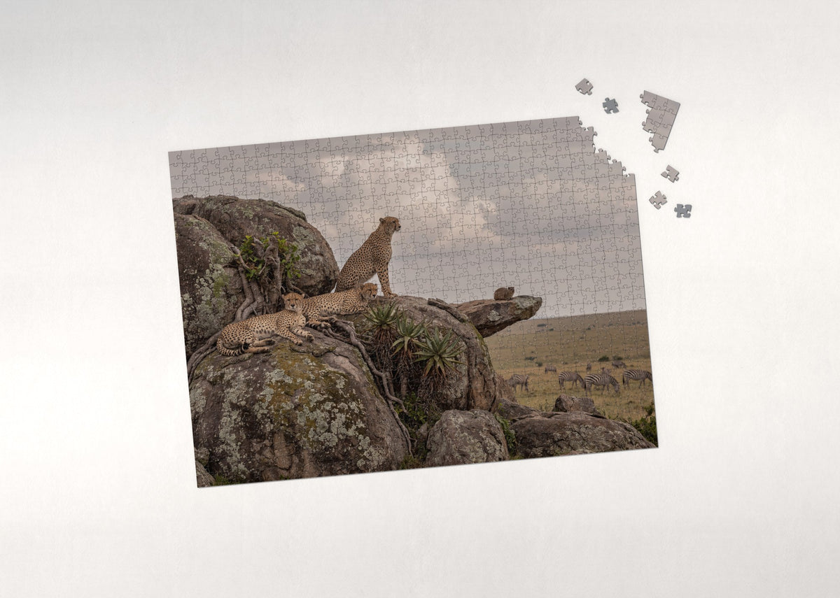 Cheetah Brothers on the Rocks jigsaw puzzle - puzzle with loose pieces