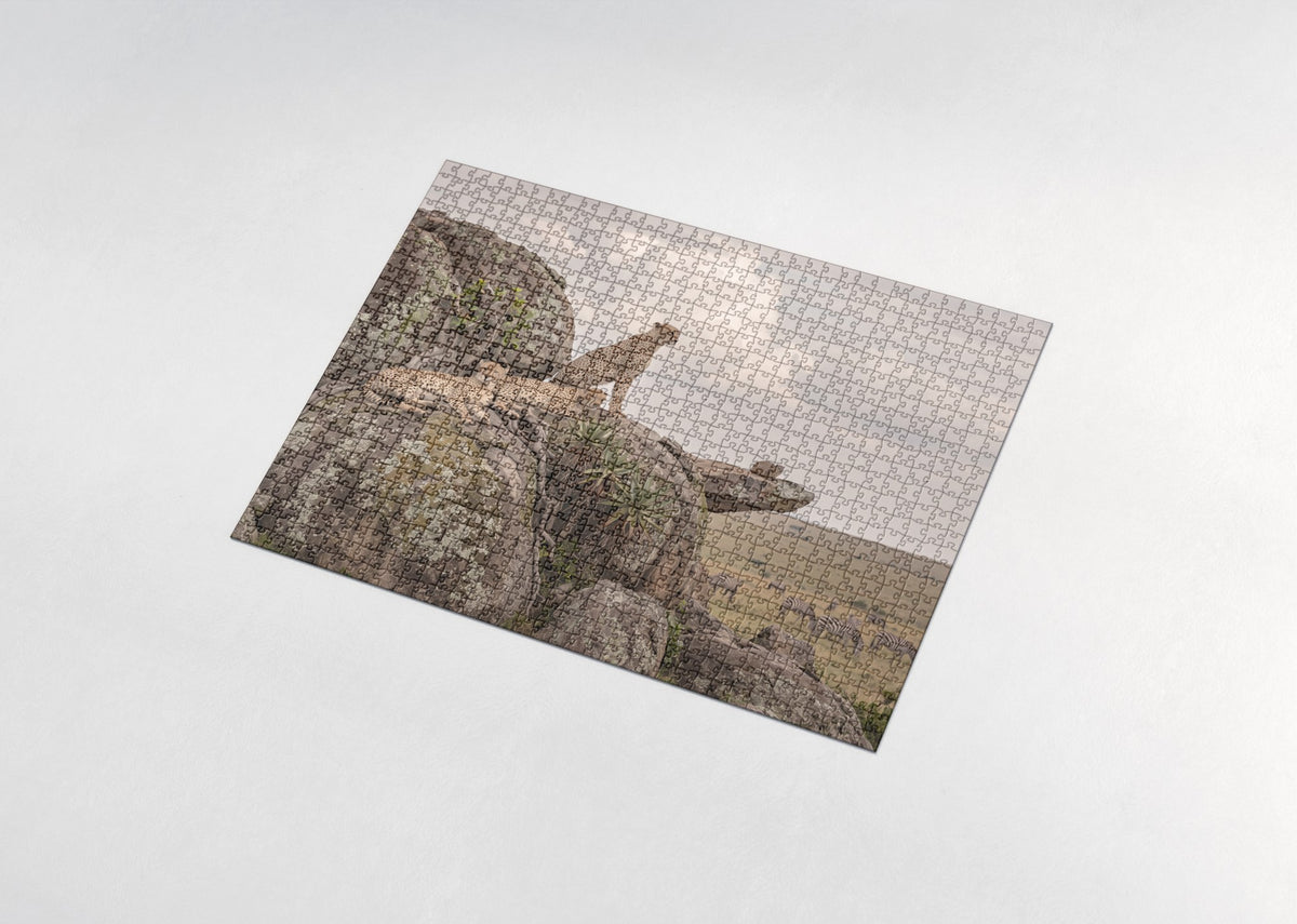 Cheetah Brothers on the Rocks jigsaw puzzle - assembled puzzle