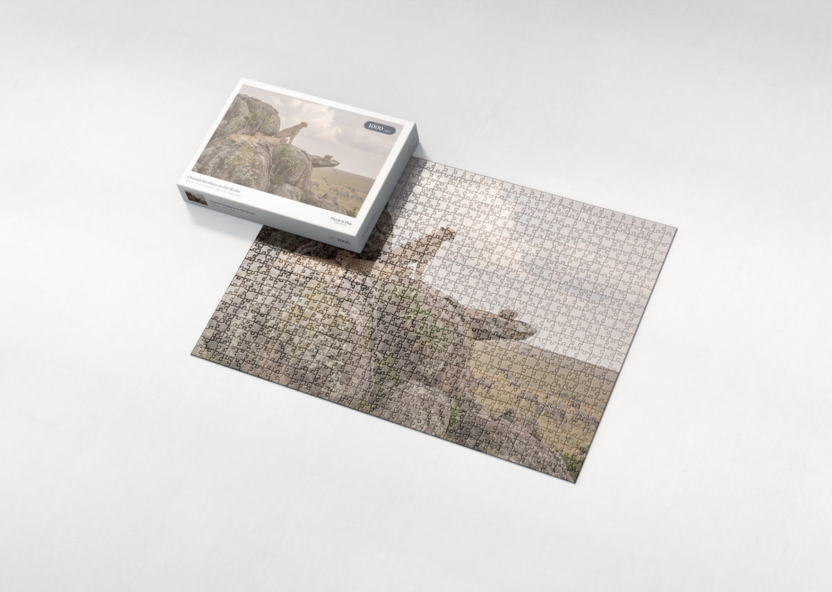 Cheetah Brothers on the Rocks jigsaw puzzle - box and puzzle