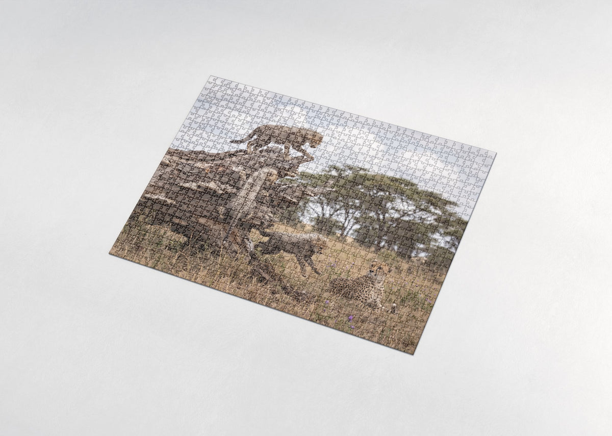 Cheetah Cubs Climbing the Fallen Log jigsaw puzzle - assembled puzzle