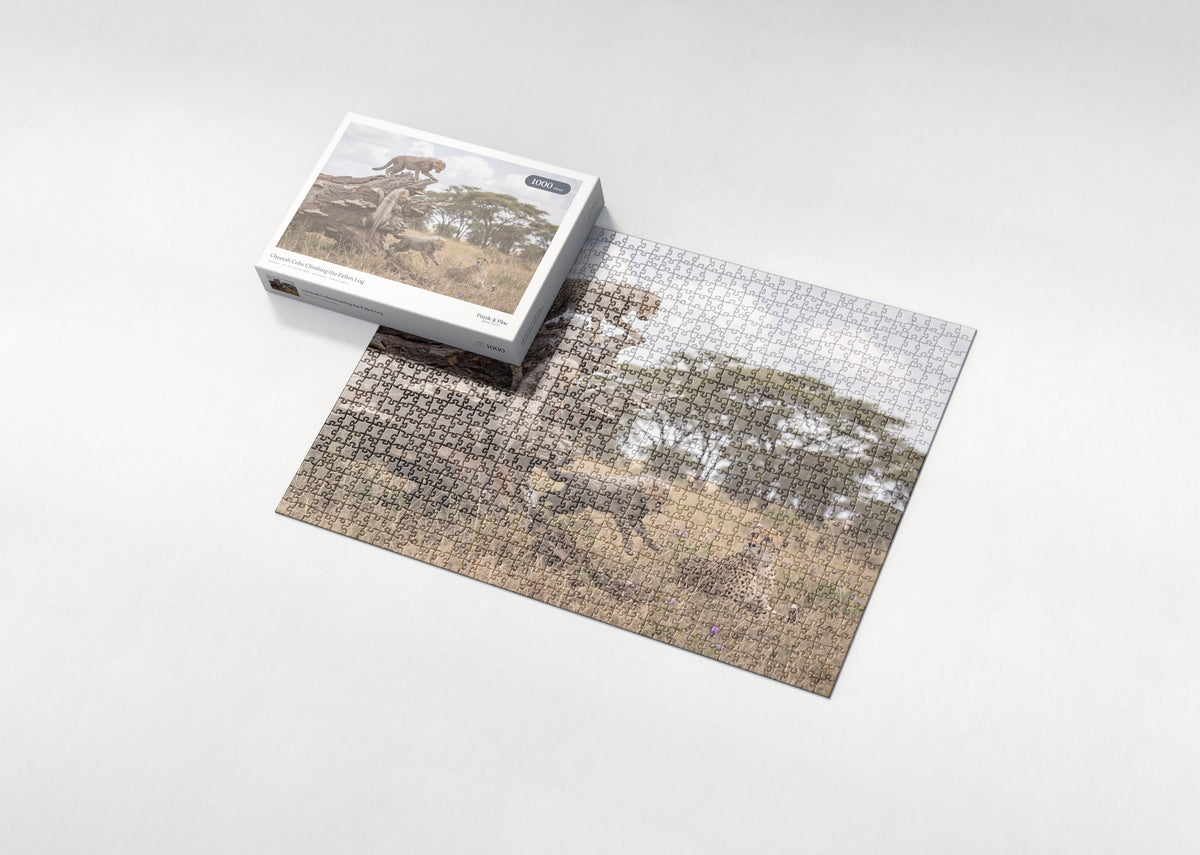 Cheetah Cubs Climbing the Fallen Log jigsaw puzzle - box and puzzle