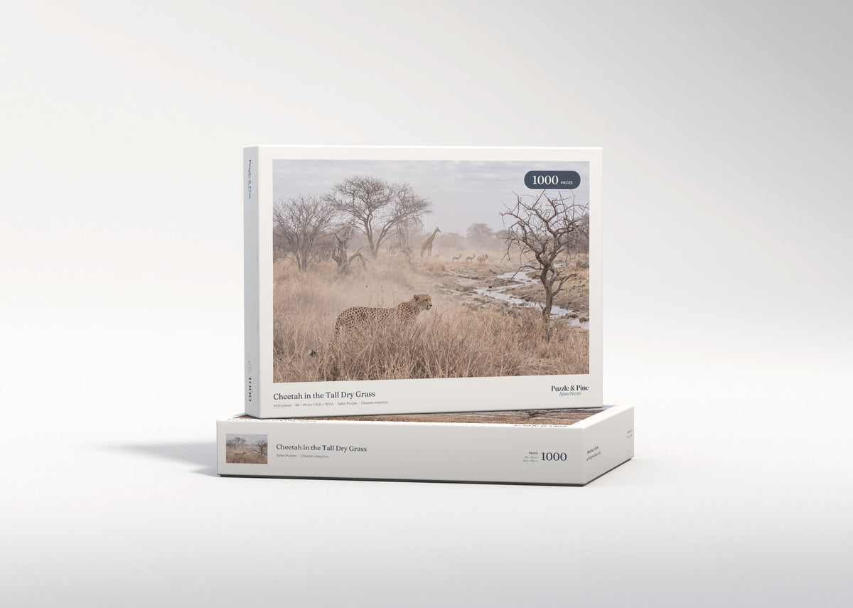 Cheetah in the Tall Dry Grass jigsaw puzzle - gift box