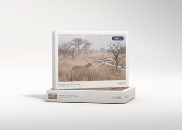 Cheetah in the Tall Dry Grass jigsaw puzzle - gift box