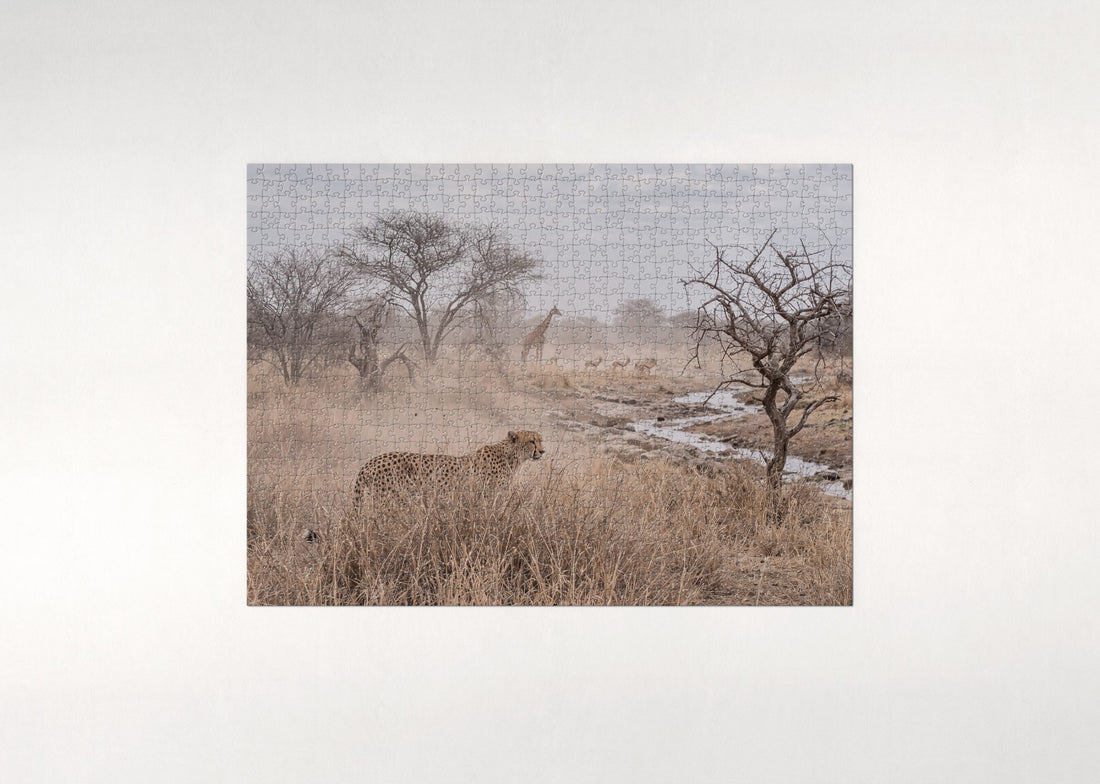 Cheetah in the Tall Dry Grass jigsaw puzzle - gift box