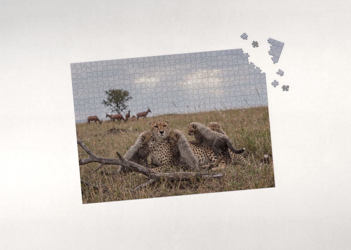 Cheetah Mother with Cubs in the Grass jigsaw puzzle - puzzle with loose pieces