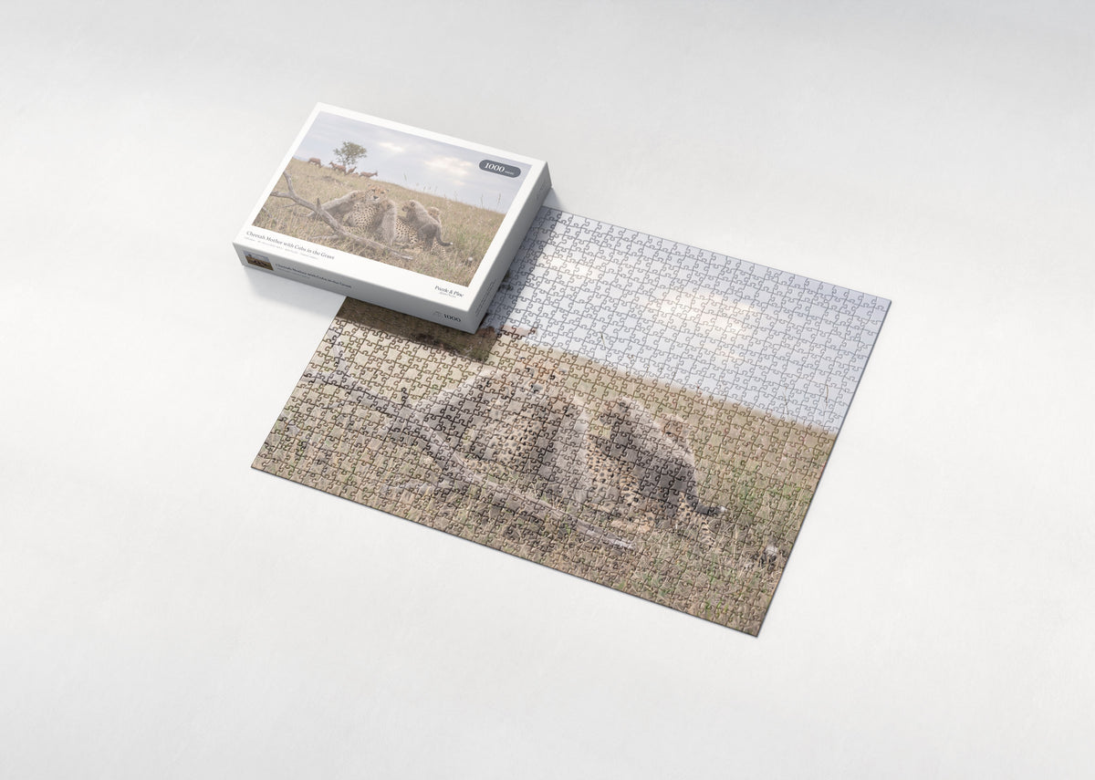 Cheetah Mother with Cubs in the Grass jigsaw puzzle - box and puzzle