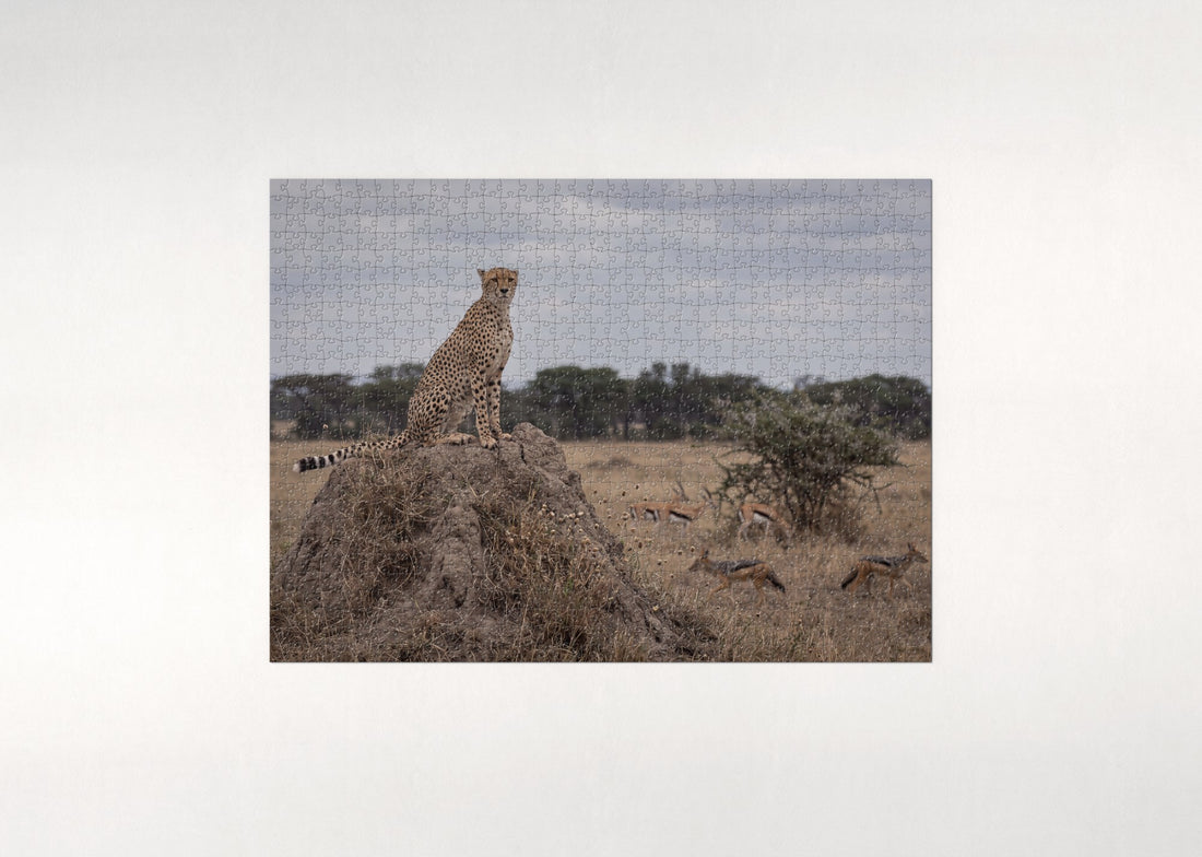 Cheetah on the Termite Mound jigsaw puzzle - gift box