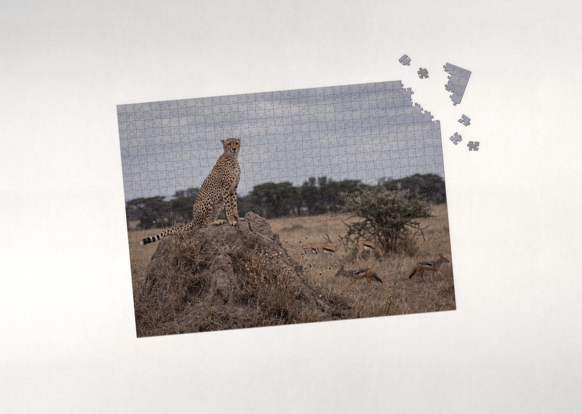 Cheetah on the Termite Mound jigsaw puzzle - puzzle with loose pieces