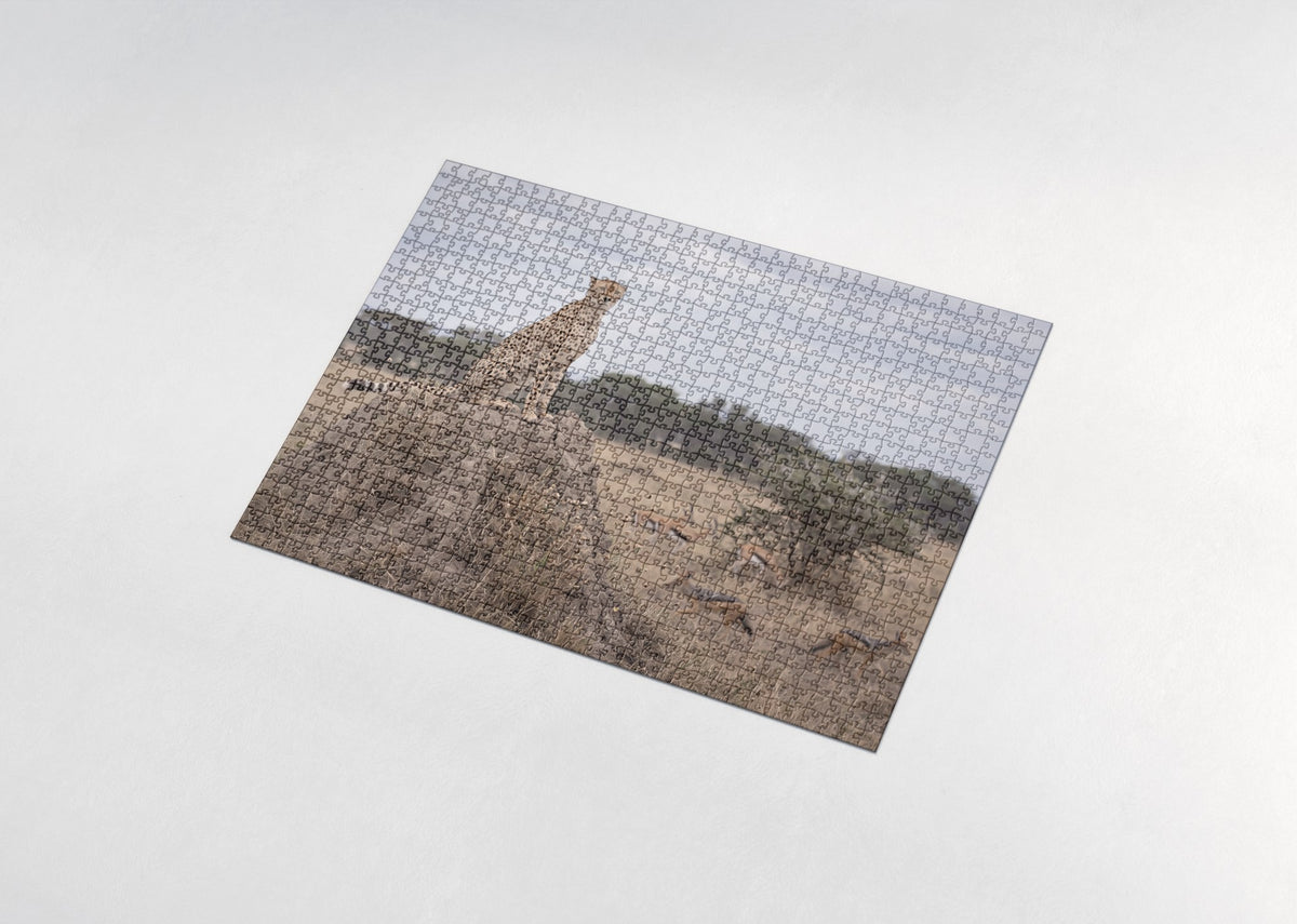 Cheetah on the Termite Mound jigsaw puzzle - assembled puzzle