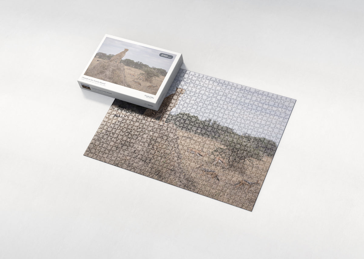 Cheetah on the Termite Mound jigsaw puzzle - box and puzzle