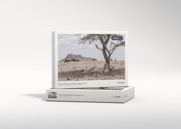 Cheetah Resting Under the Shade Tree jigsaw puzzle - gift box