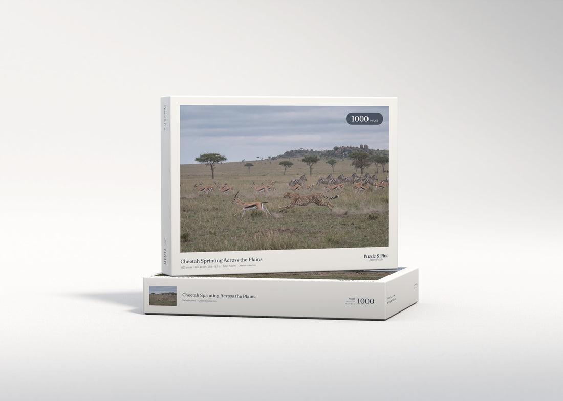 Cheetah Sprinting Across the Plains jigsaw puzzle - gift box