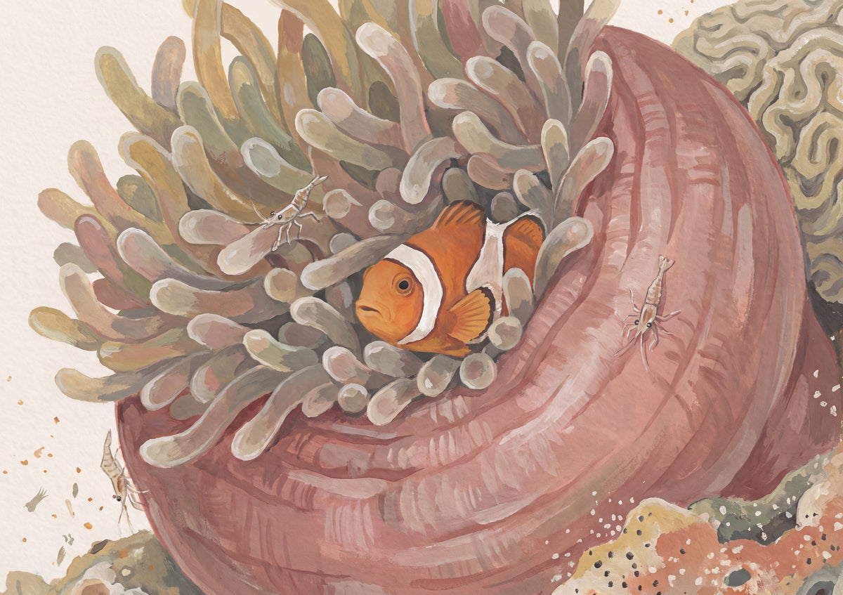 Clownfish and Anemone Close Up jigsaw puzzle