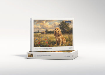 Cocker Spaniel in the Golden Hour Meadow jigsaw puzzle - gift box
