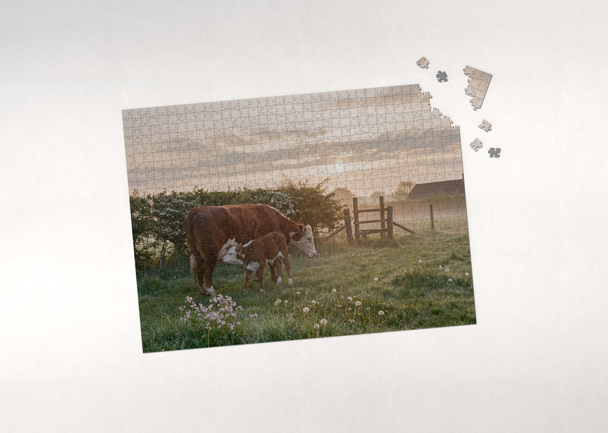 Cow and Calf in the Morning Mist jigsaw puzzle - puzzle with loose pieces