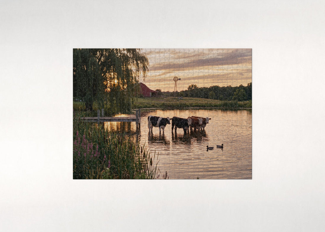 Cows at Sunset by the Farm Pond jigsaw puzzle - gift box