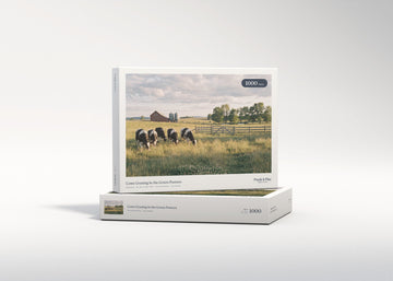 Cows Grazing in the Green Pasture jigsaw puzzle - gift box