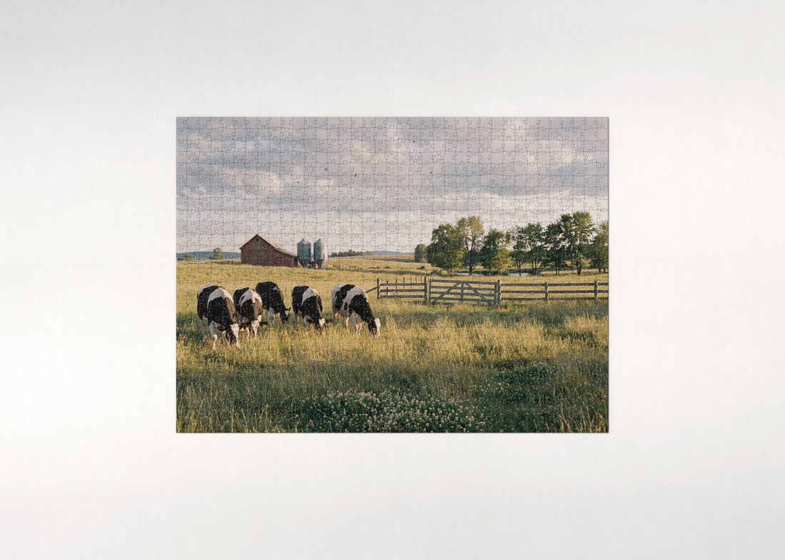 Cows Grazing in the Green Pasture jigsaw puzzle - gift box