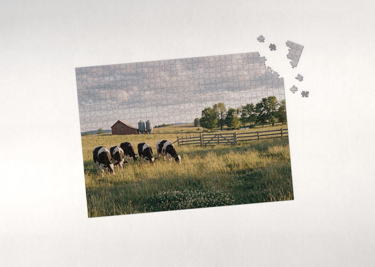Cows Grazing in the Green Pasture jigsaw puzzle - puzzle with loose pieces
