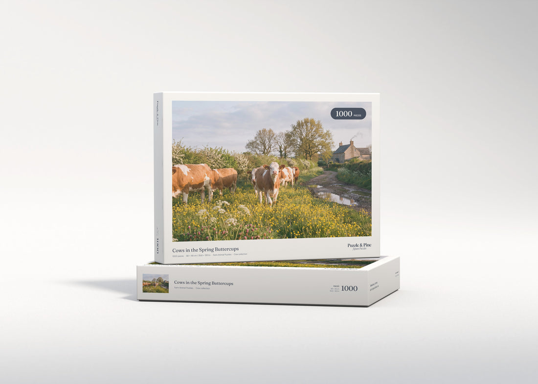 Cows in the Spring Buttercups jigsaw puzzle - gift box