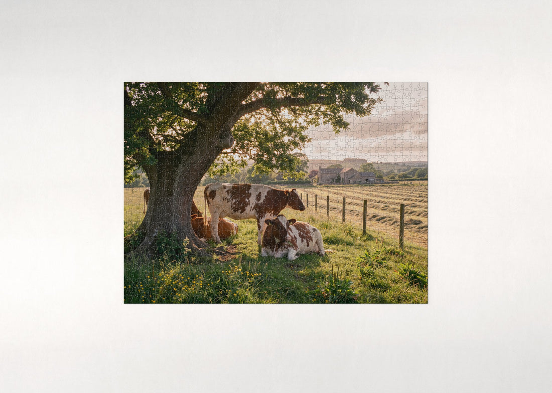 Cows Under the Old Oak jigsaw puzzle - gift box