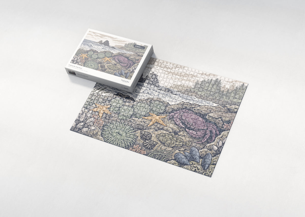 Crab in the Tide Pool jigsaw puzzle - box and puzzle