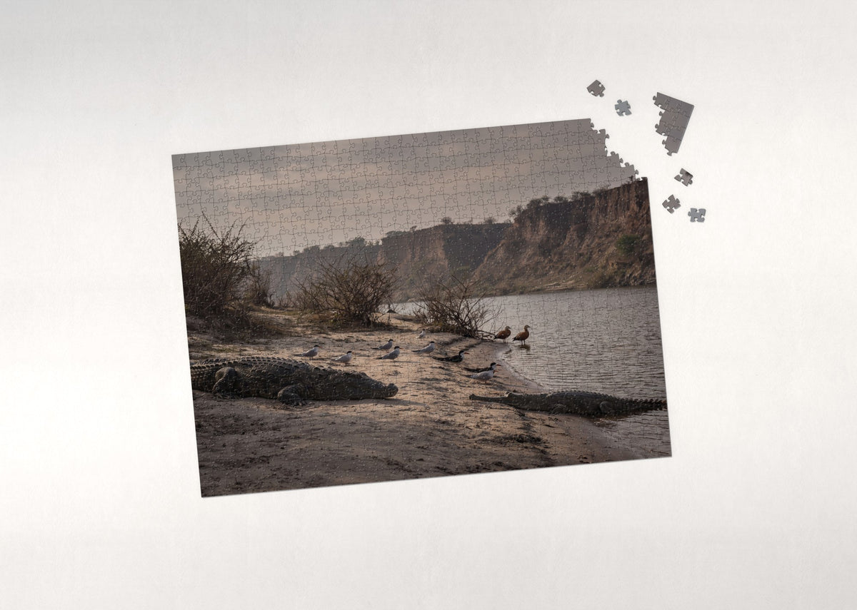 Crocodile on the Sandbank jigsaw puzzle - puzzle with loose pieces