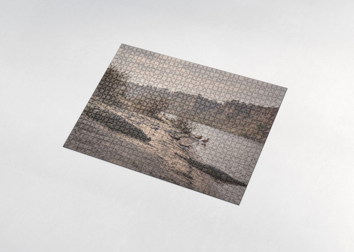 Crocodile on the Sandbank jigsaw puzzle - assembled puzzle
