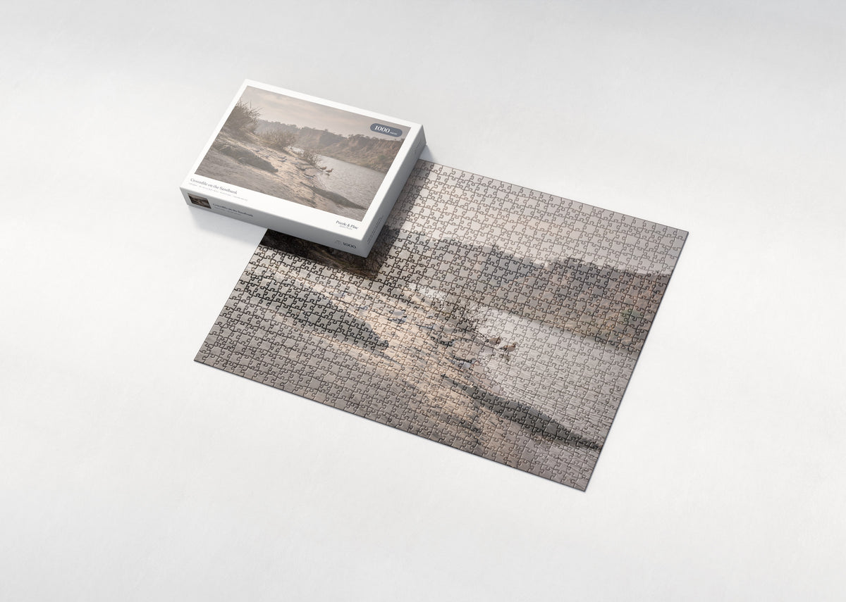 Crocodile on the Sandbank jigsaw puzzle - box and puzzle