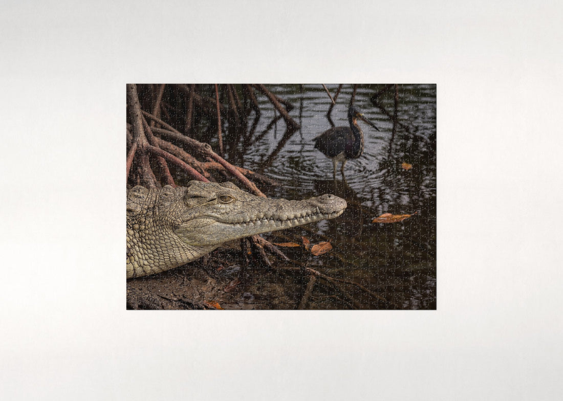 Crocodile Portrait Close Up jigsaw puzzle - gift box